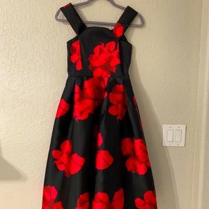 Miss Avenue Floral fit and flare dress